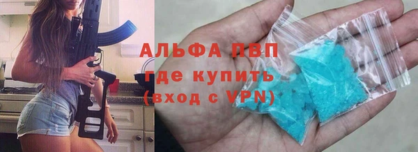 индика Верхний Тагил