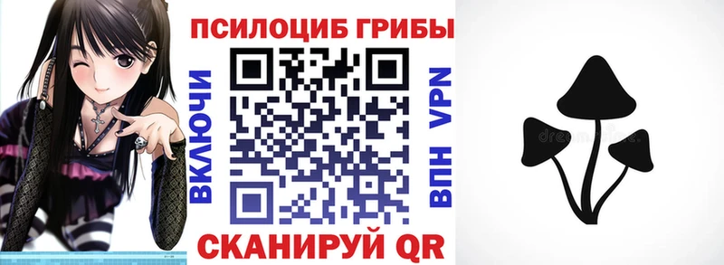 hydra   Дальнереченск  Галлюциногенные грибы GOLDEN TEACHER 